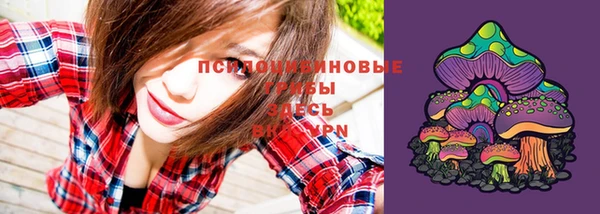 ГАЛЛЮЦИНОГЕННЫЕ ГРИБЫ Алексин