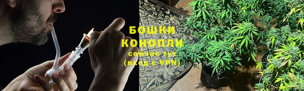 ГАЛЛЮЦИНОГЕННЫЕ ГРИБЫ Алексин